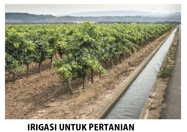 JENIS IRIGASI