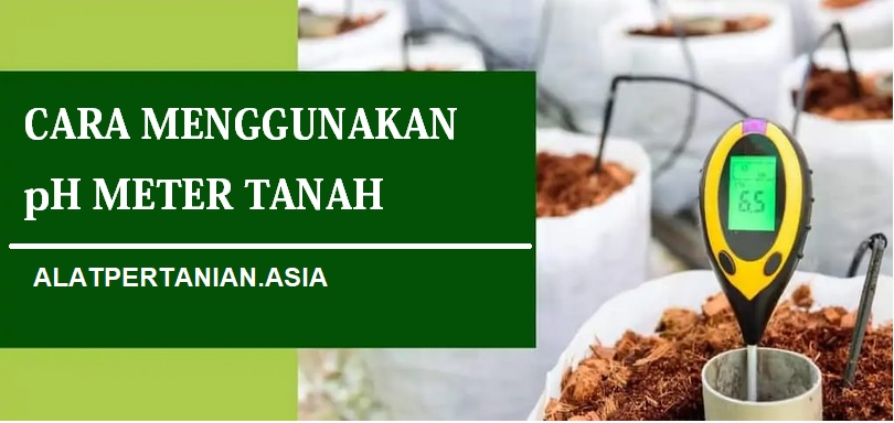 ph tanah