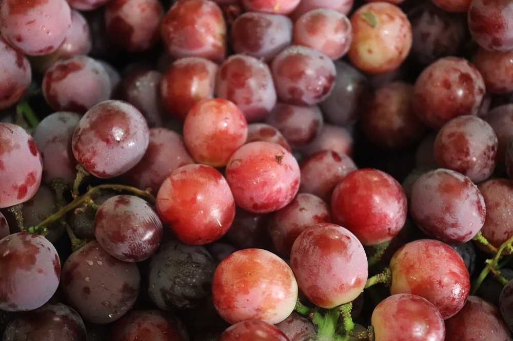 anggur-buah-mengandung-vitamin-b anggur-buah-mengandung-vitamin-b