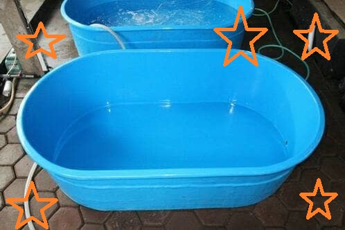 kolam ikan fiber bentuk oval