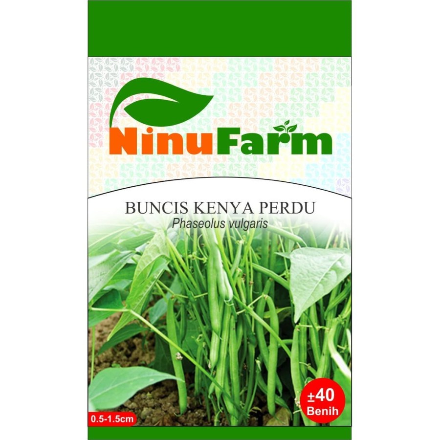 buncis kenya