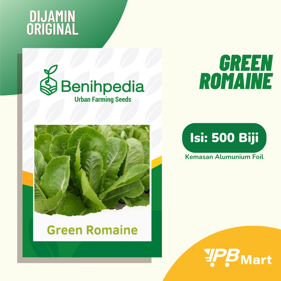 benih selada hidroponik