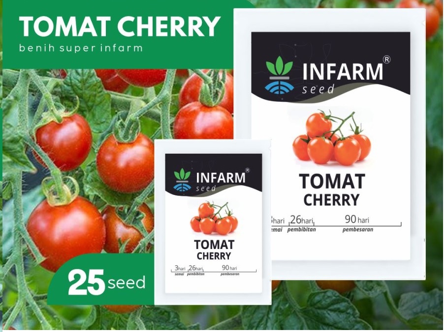 benih tomat cherry