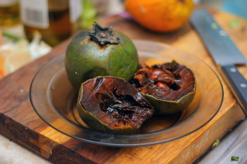 tanaman black sapote tanaman black sapote