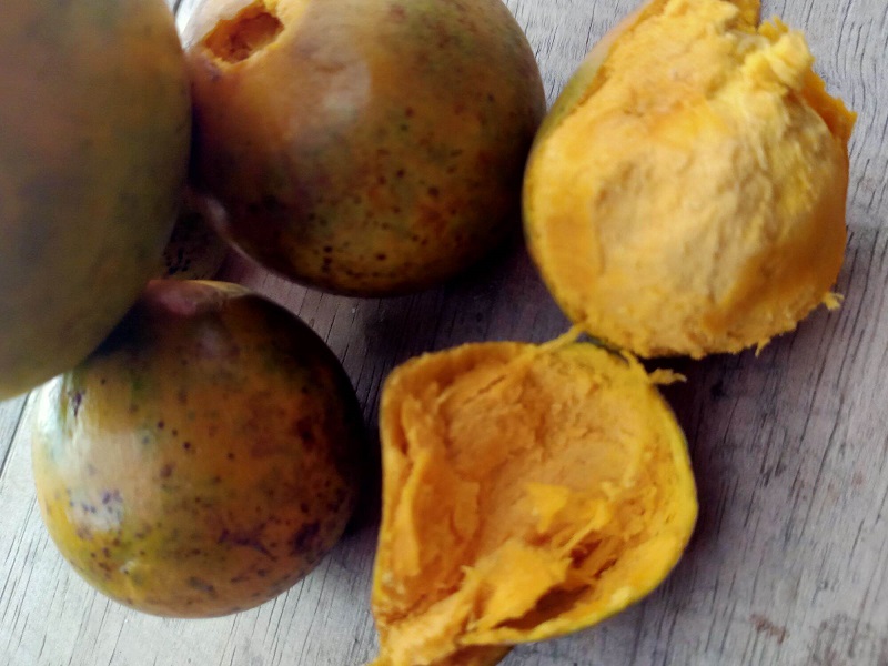 campolay-buah