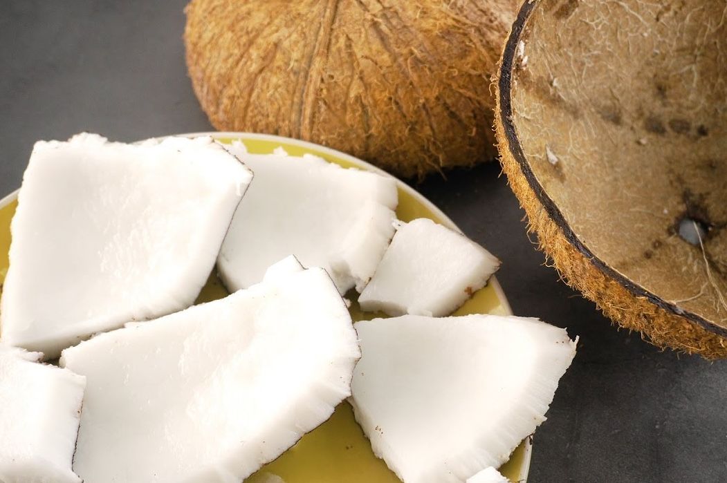 peluang usaha kelapa tua