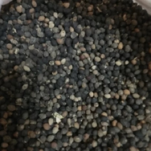 buah-makasar buah-makasar