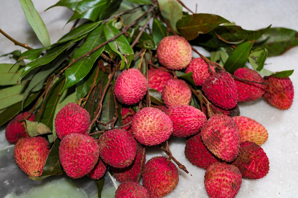 buah leci