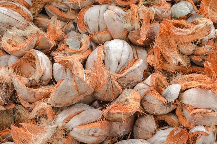 cocopeat fiber serabut kelapa