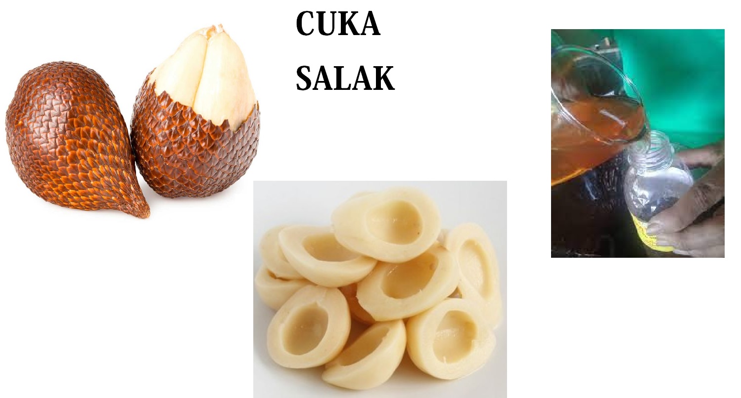 cuka salak