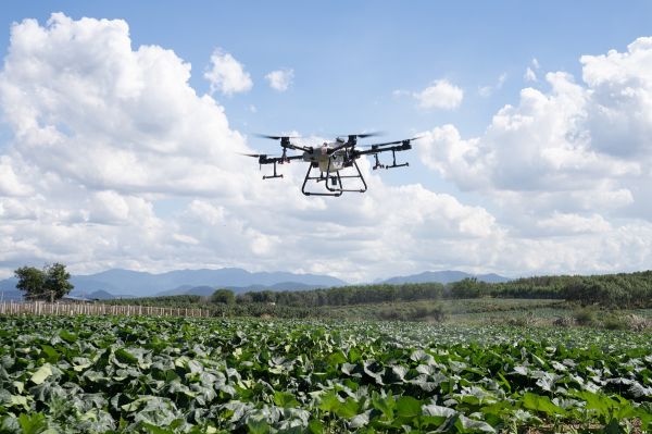 drone murah pertanian