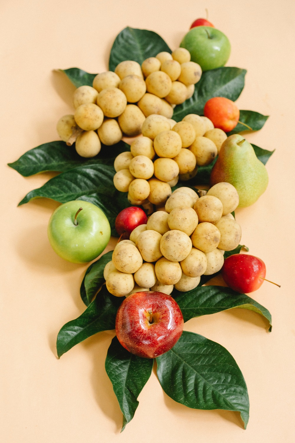 bahaya-buah-langsat
