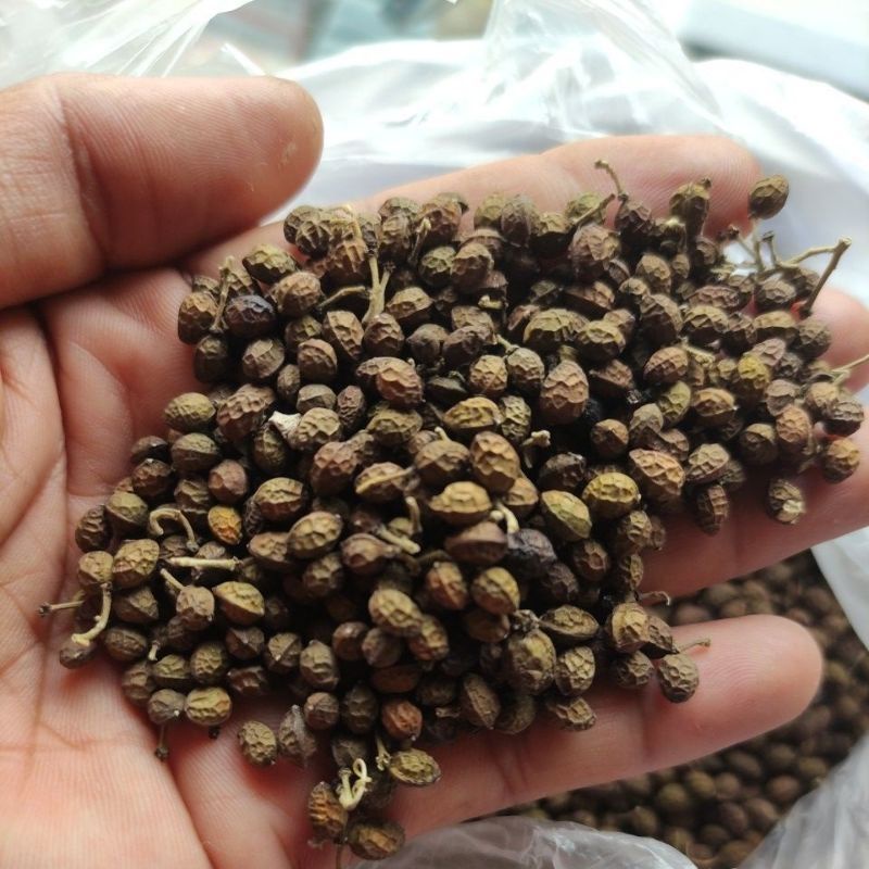 khasiat-buah-makasar khasiat-buah-makasar