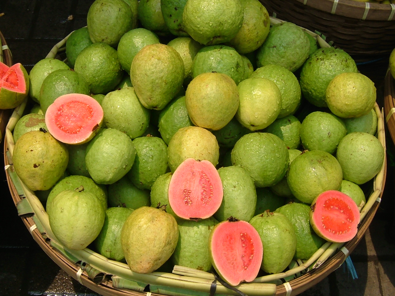 jambu biji