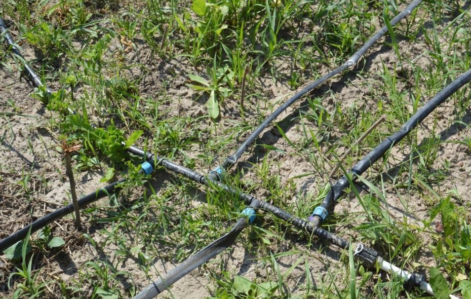 selang irigasi tetes selang irigasi tetes