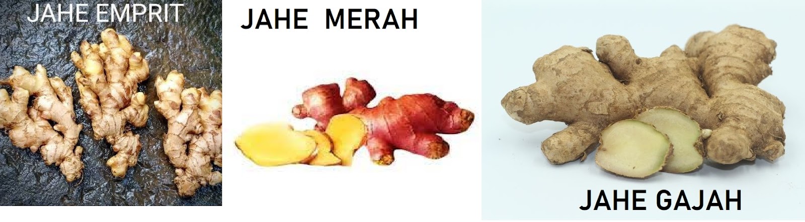 GAMBAR JAHE