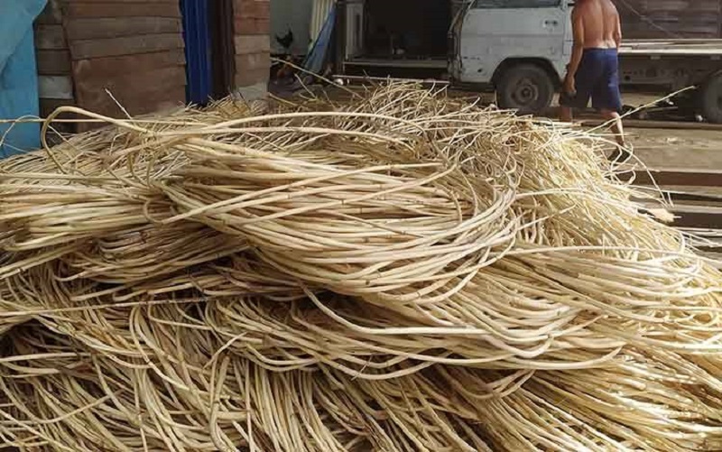 rotan