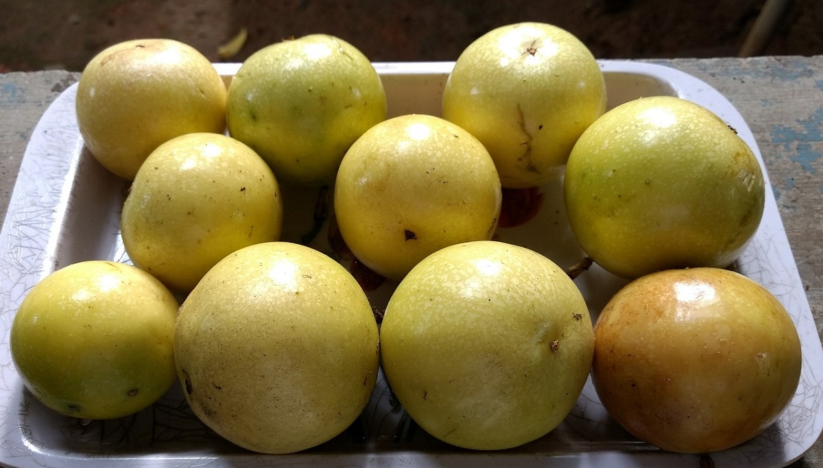 buah markisa