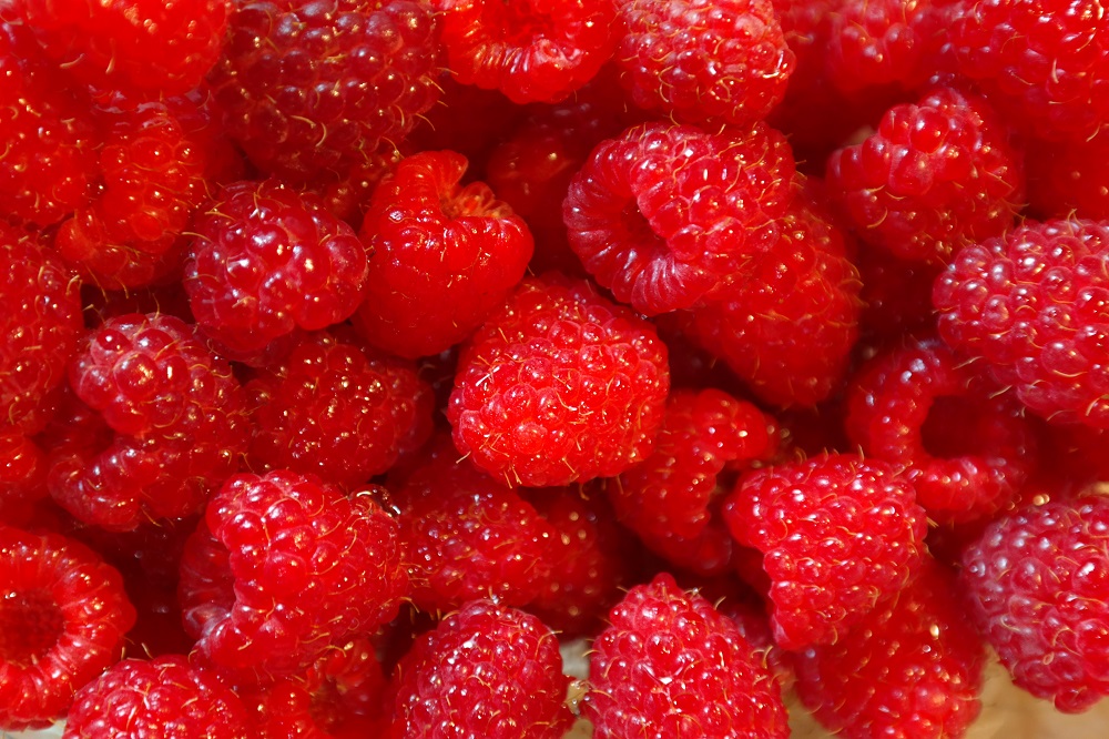 buah-raspberry
