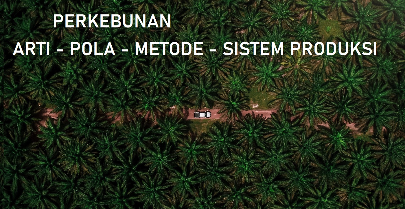 definisi perkebunan