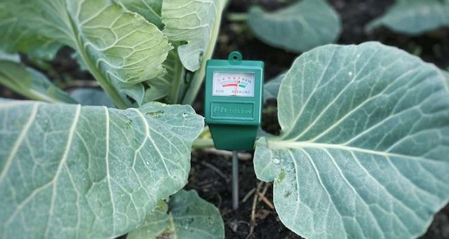 SOIL PH METRe