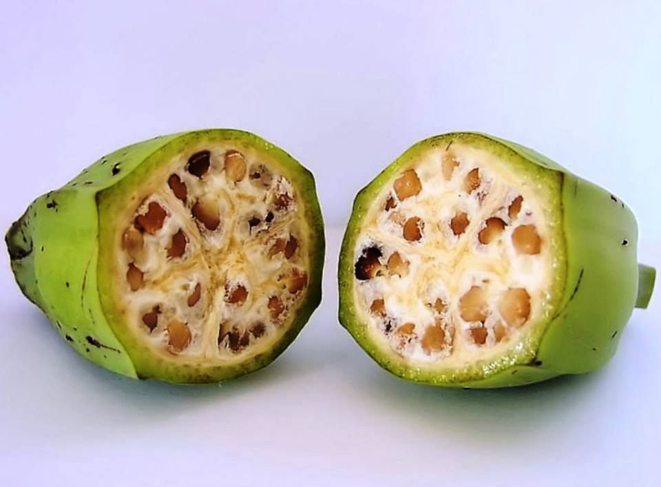 Pisang batu