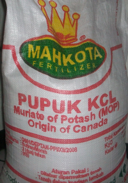 harga pupuk kcl