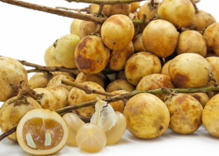 rambai-buah rambai-buah