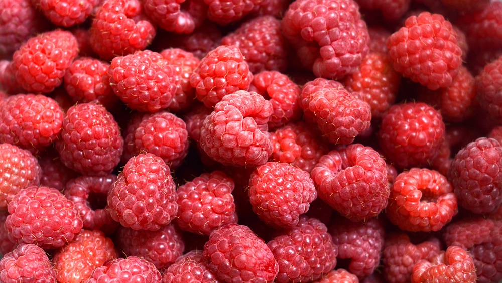 manfaat buah raspberry