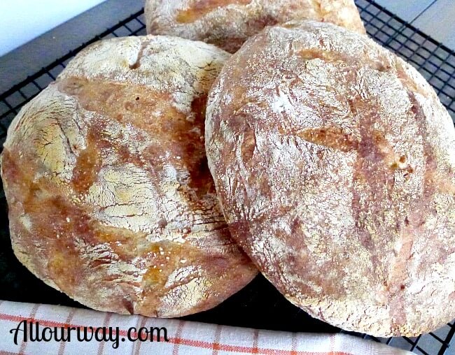 gambar roti : pugliese
