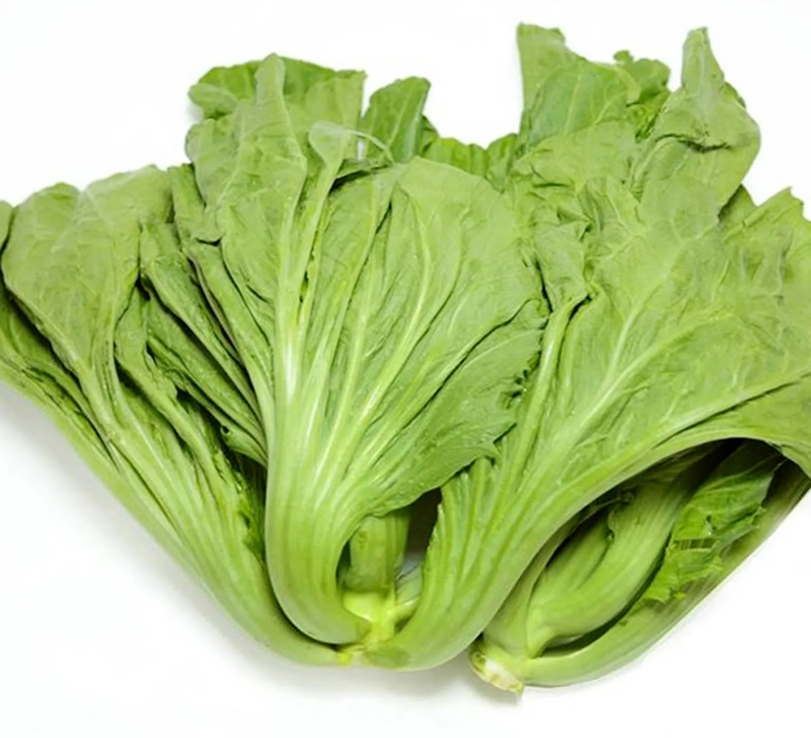 sayuran sawi sayur sawi