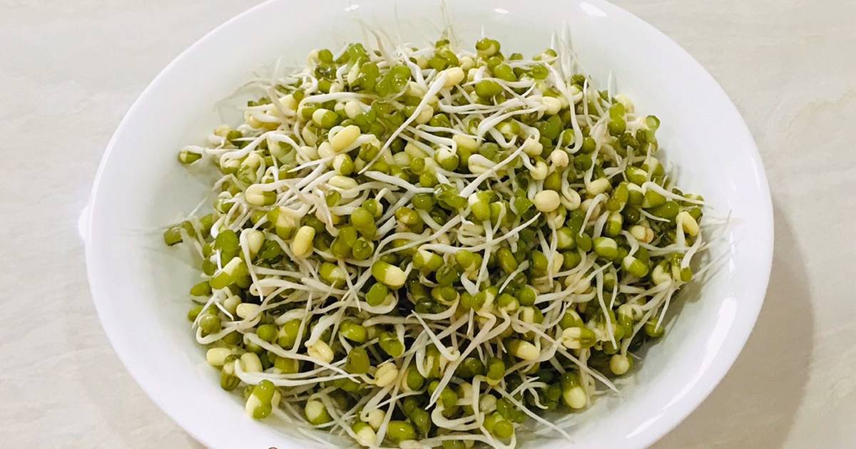 tauge kacang hijau