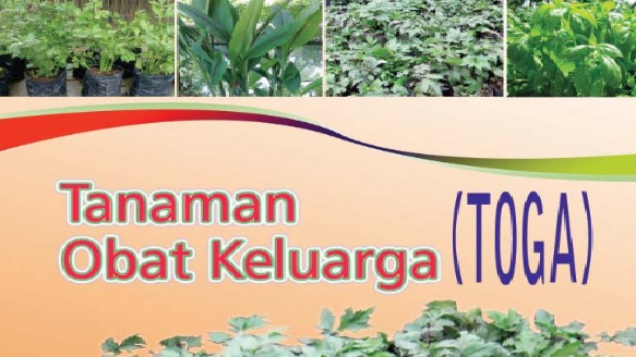 TANAMAN obat keluarg